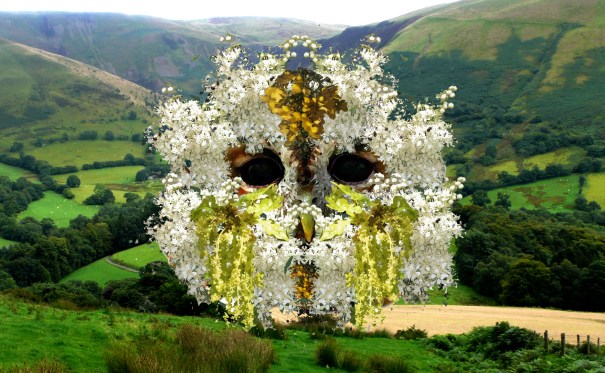 flowerface-owl-WhistlesInTheWind