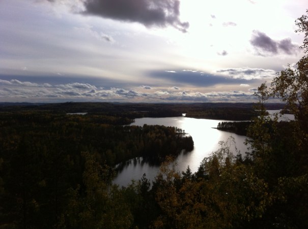 NeitvuoriMyllyjoenselkä