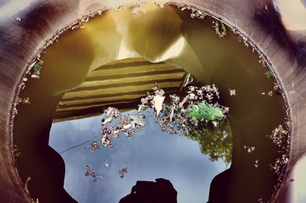 Reflection Adrift _ joseph burden _ Flickr.jpg