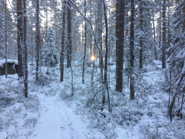 firstsnowkuokkala1611