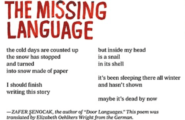 senocakeowrightmissinglanguage