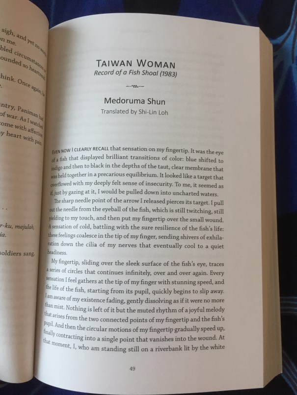 islandsprotesttaiwanwoman