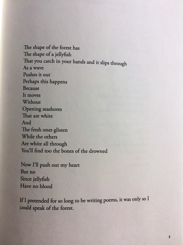 VakaloEmmerichTheForest1954