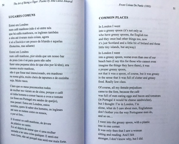 ArtTigerAmaralCostaCommonPlaces