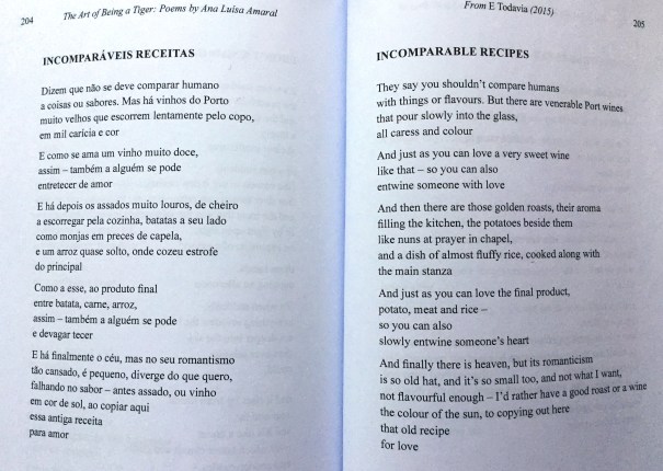ArtTigerAmaralCostaIncomparableRecipes