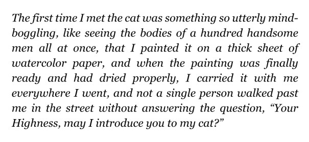 MyCatYugoslaviaStatovciHackstonCat