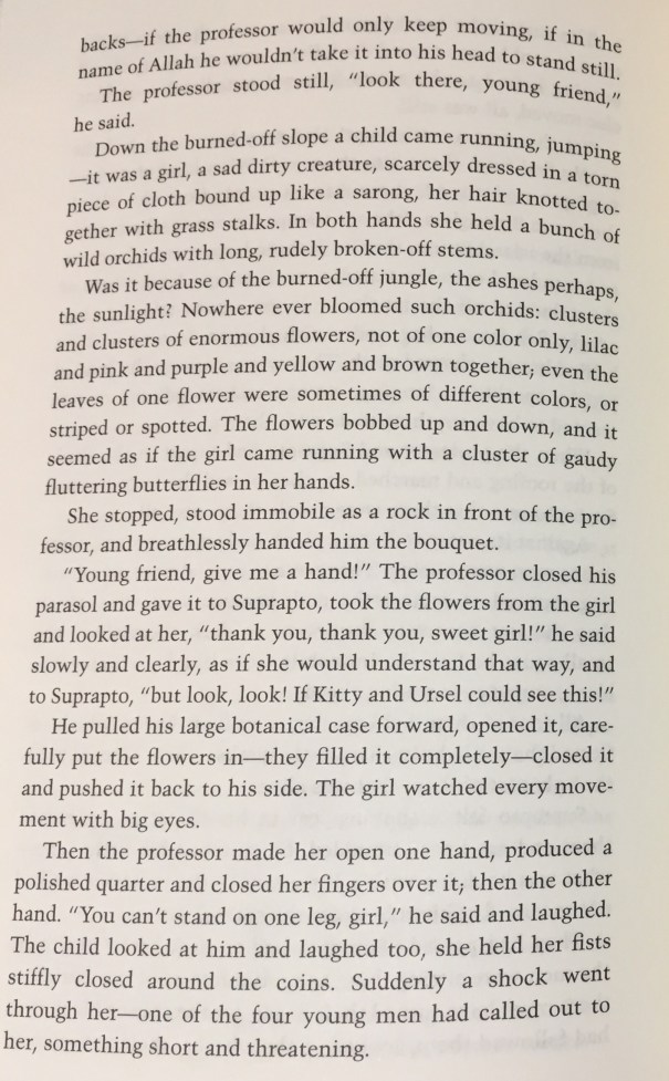 TenThousandThingsOrchids