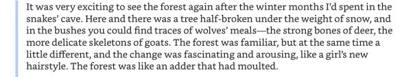 SnakishForest