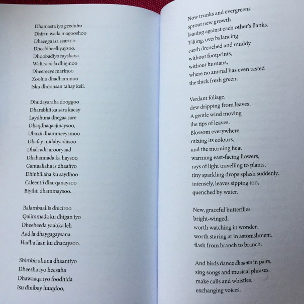 SeaMigrationsYusufPollardTheRainThatStopsTheCaravan